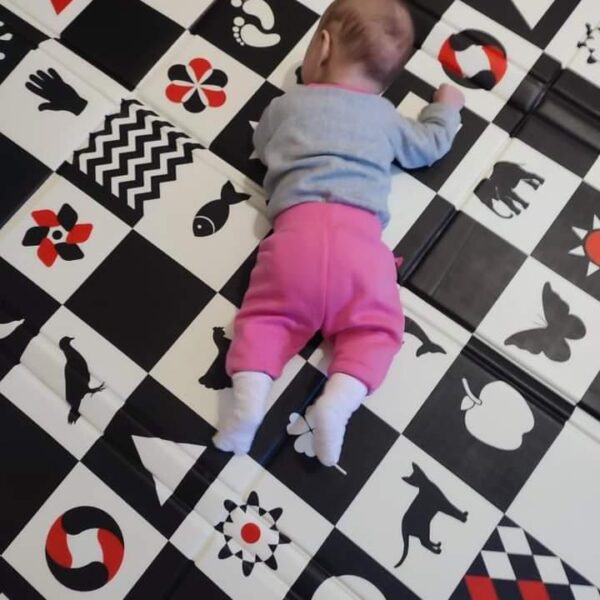 IMG 20240125 095519 000